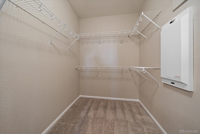 spacious closet featuring carpet floors