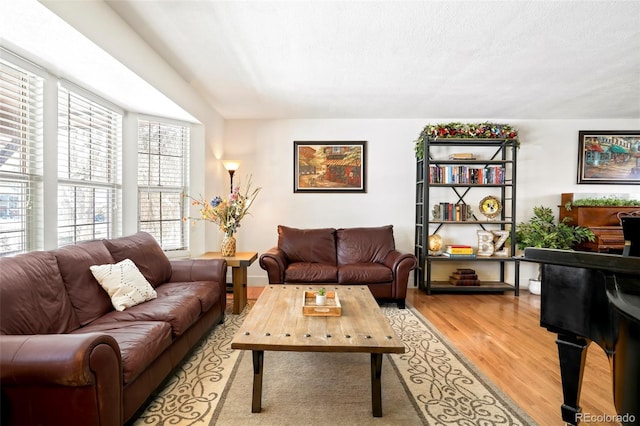 living room featuring light wood-type flooring