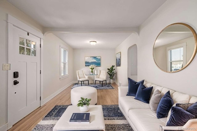 living room with light hardwood / wood-style floors