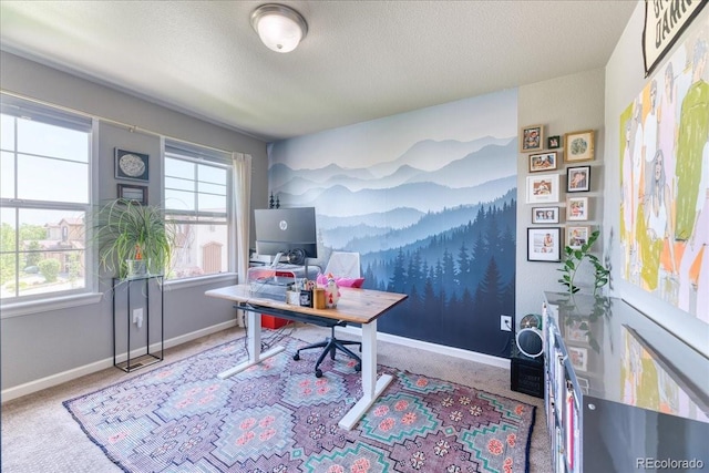 2347 S Loveland St, Lakewood, CO 80228 - home office with carpet, baseboards, and a textured ceiling