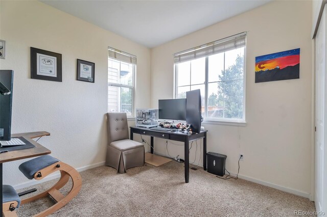 10695 Wynspire Rd, Highlands Ranch, CO 80130 - carpeted office space with plenty of natural light and baseboards