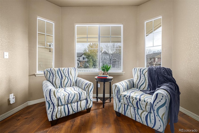 sitting room featuring dark wood-type flooring