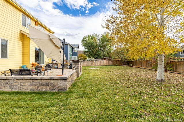 view of yard with a patio