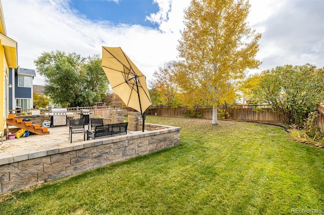 view of yard with a patio