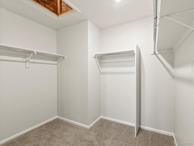 22430 E 8th Pl, Aurora, CO 80018 - photo 17
