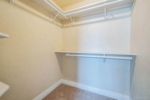 2539 N York St, Denver, CO 80205 - walk in closet with carpet floors