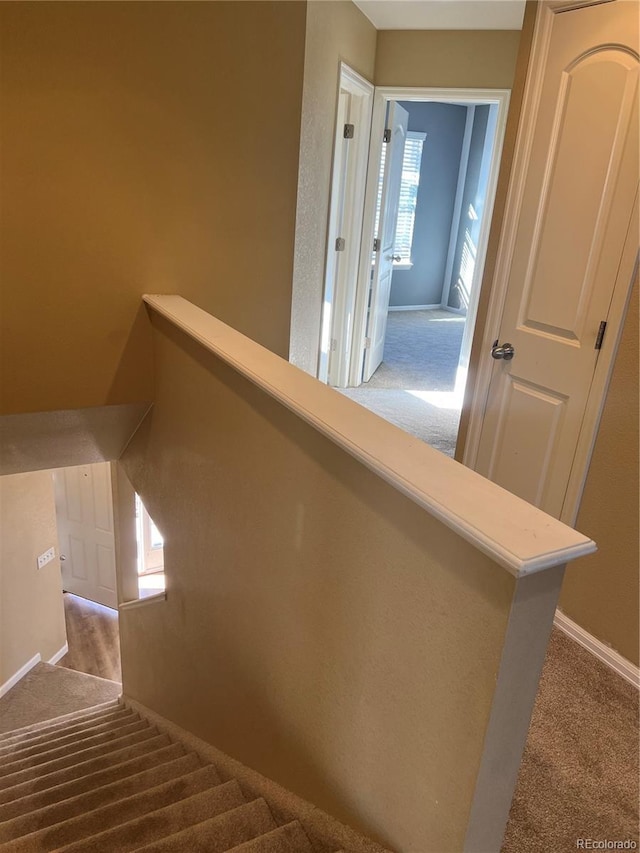 stairway with carpet flooring and baseboards