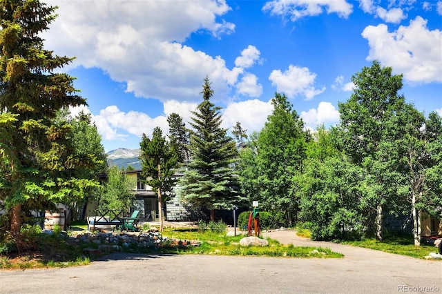 891 Fairview Blvd Unit 20, Breckenridge, CO 80424 - view of front of home