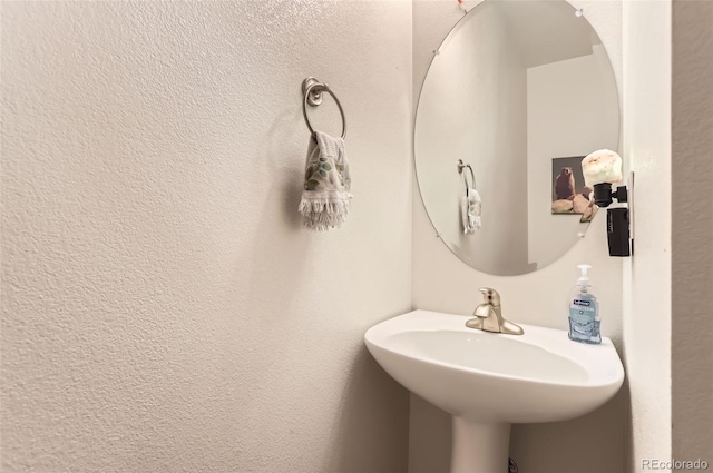 3249 Big Horn St Unit C, Boulder, CO 80301 - photo 13