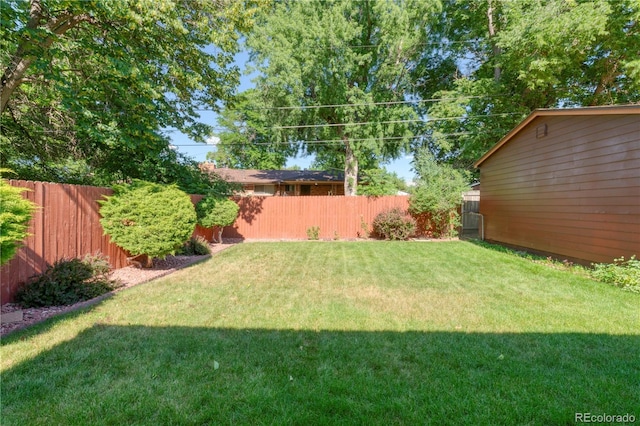 3230 Balsam St, Wheat Ridge, CO 80033 - view of yard