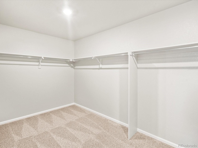 17487 E 89th Way, Commerce City, CO 80022 - walk in closet with carpet floors