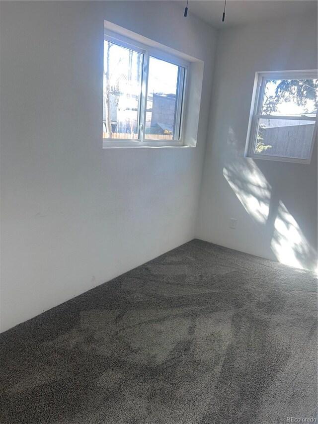 unfurnished room with carpet flooring