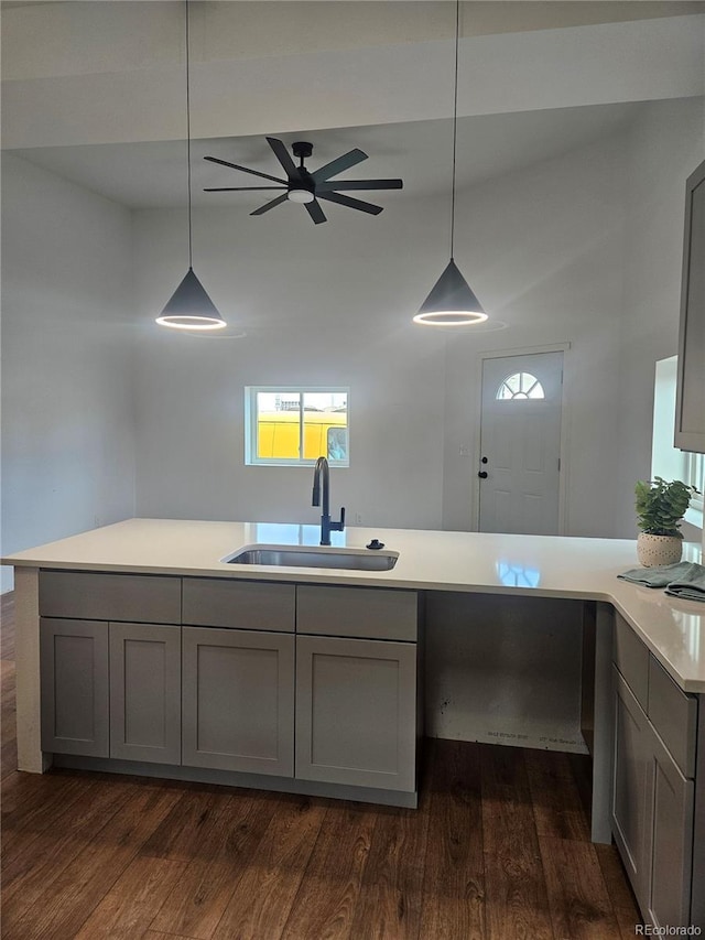 kitchen featuring dark wood-type flooring, a ceiling fan, gray cabinets, a sink, and light countertops