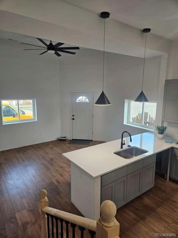 kitchen featuring a sink, gray cabinetry, dark wood-style floors, and light countertops