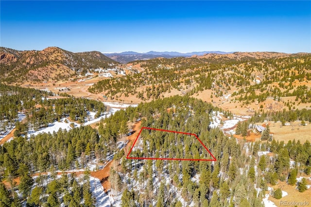 1007 Derby Dr, Cripple Creek CO, 80813 land for sale