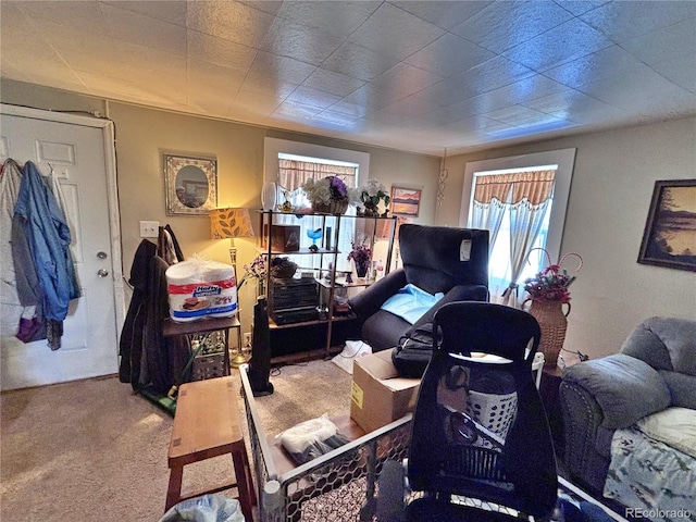 6060 Locust St, Commerce City, CO 80022 - photo 10