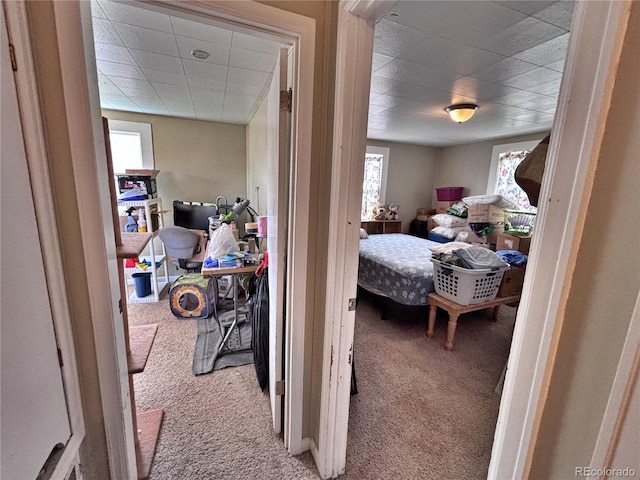 6060 Locust St, Commerce City, CO 80022 - photo 24