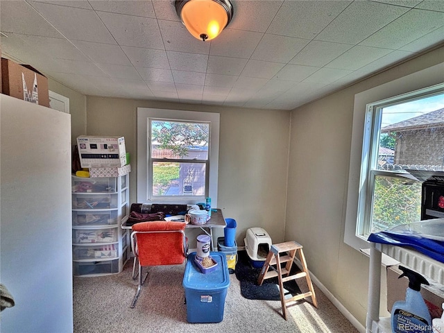 6060 Locust St, Commerce City, CO 80022 - photo 28