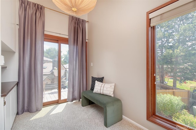 4049 S Niagara Way, Denver, CO 80237 - photo 28