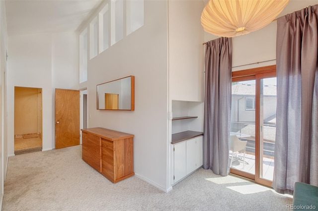 4049 S Niagara Way, Denver, CO 80237 - photo 29
