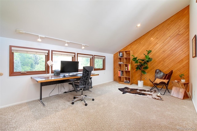 4049 S Niagara Way, Denver, CO 80237 - photo 40