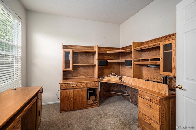 6626 S Reed Way Unit A, Littleton, CO 80123 - carpeted office space with baseboards