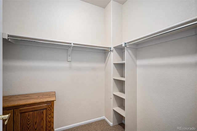 6626 S Reed Way Unit A, Littleton, CO 80123 - spacious closet featuring carpet floors