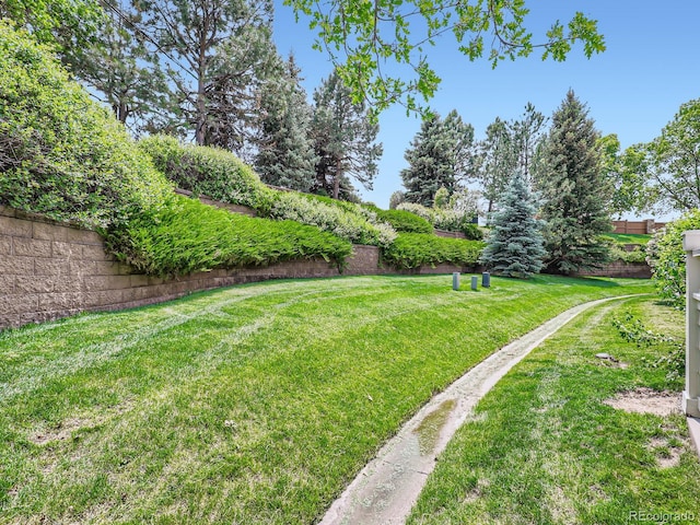 6626 S Reed Way Unit A, Littleton, CO 80123 - view of green lawn