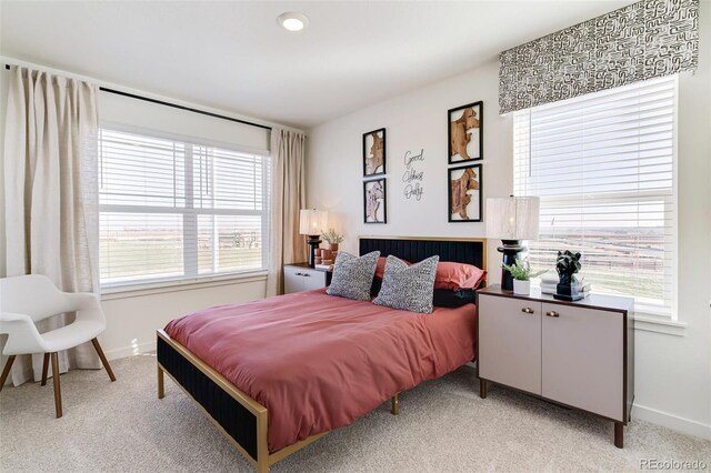 4685 Combine Ln, Johnstown, CO 80534 - photo 25