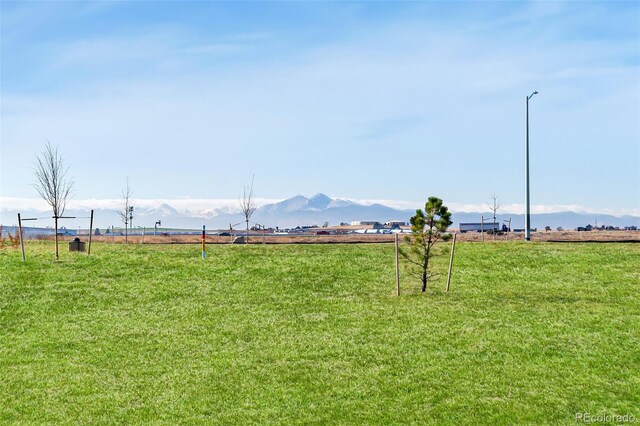 4685 Combine Ln, Johnstown, CO 80534 - photo 32