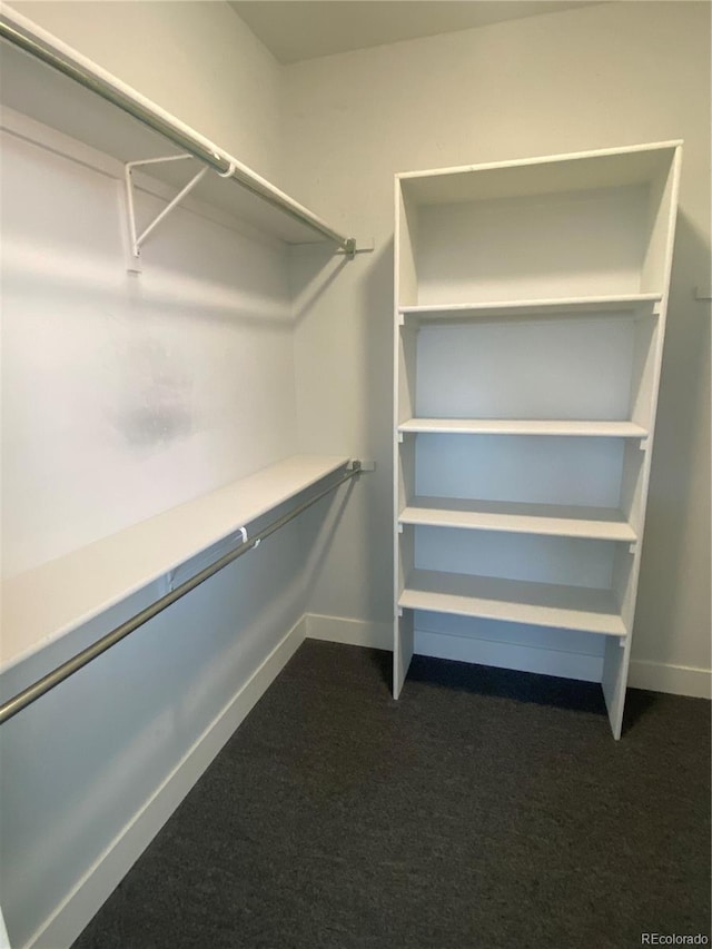 129 Red Tail Blvd, Buena Vista, CO 81211 - spacious closet featuring dark colored carpet