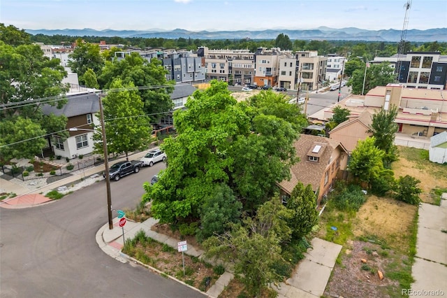 4509 Stuart St, Denver, CO 80212 - photo 36