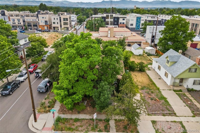 4509 Stuart St, Denver, CO 80212 - photo 37