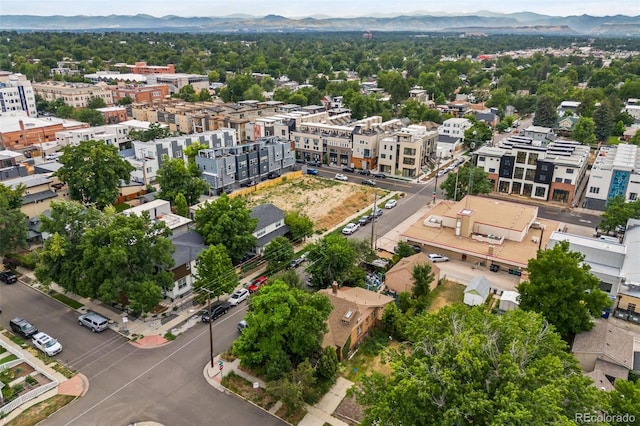 4509 Stuart St, Denver, CO 80212 - photo 44