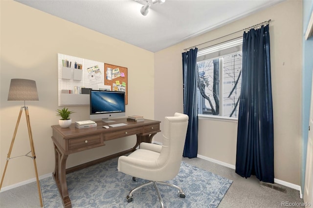 1929 Baguette Dr, Castle Rock, CO 80108 - carpeted office space with baseboards