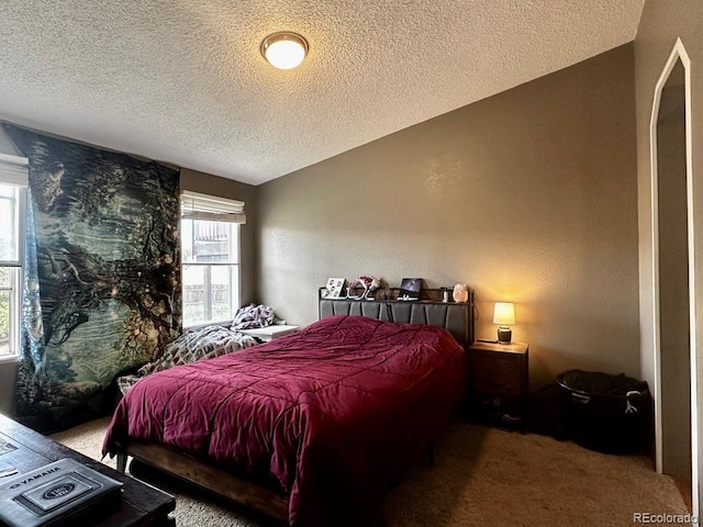 119 Front Rd, Leadville, CO 80461 - photo 12