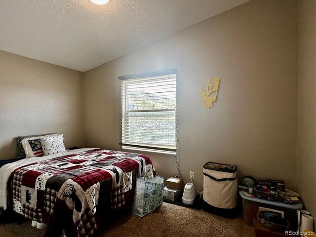 119 Front Rd, Leadville, CO 80461 - photo 18