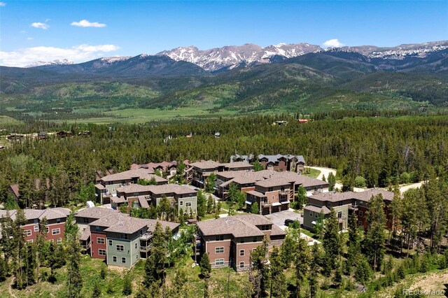 410 County Road 8342 Unit 3, Fraser, CO 80442 - photo 24