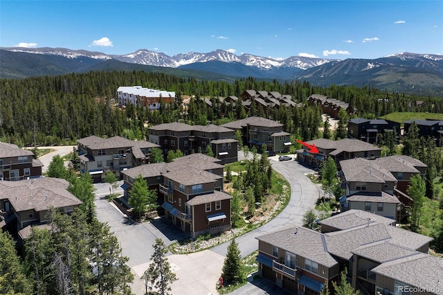410 County Road 8342 Unit 3, Fraser, CO 80442 - photo 25