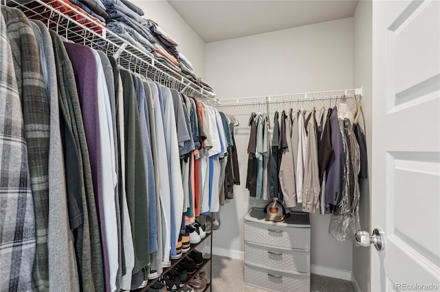 view of spacious closet