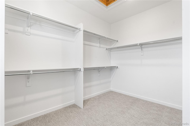 spacious closet featuring light colored carpet