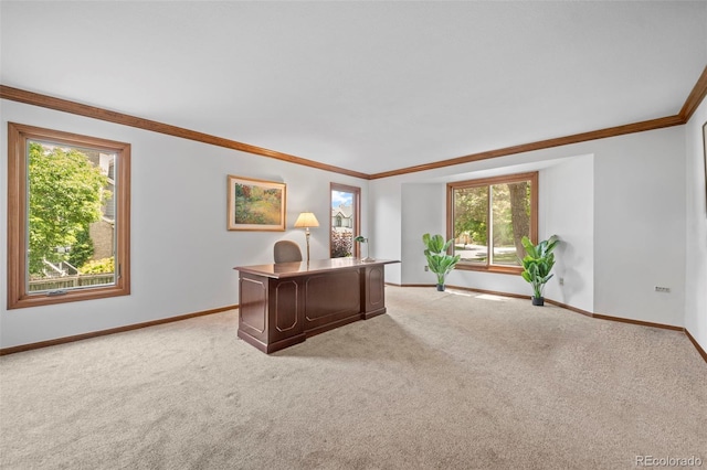 4161 W Lake Cir N, Littleton, CO 80123 - office area featuring plenty of natural light, carpet floors, baseboards, and crown molding