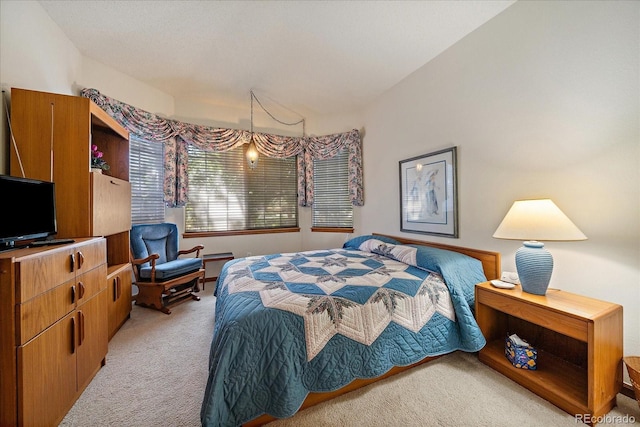 2210 S Joliet Way, Aurora, CO 80014 - photo 11