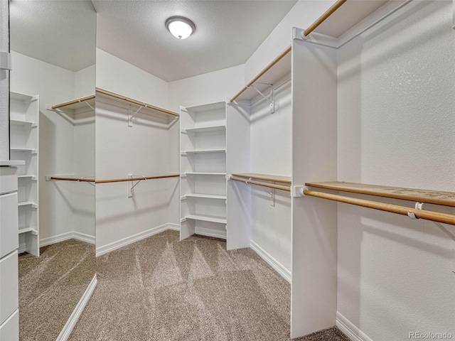 spacious closet featuring carpet flooring