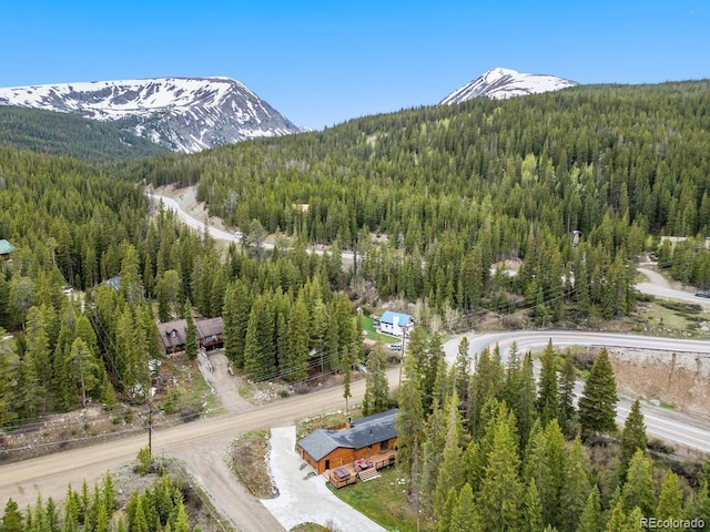 27 Tordal Way, Breckenridge, CO 80424 - photo 20