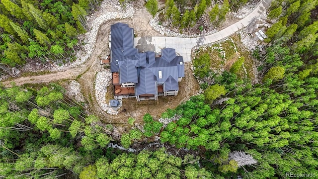 25735 County Road 295, Nathrop, CO 81236 - aerial view of property and surrounding area