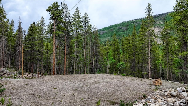 25735 County Road 295, Nathrop, CO 81236 - view of wooded area