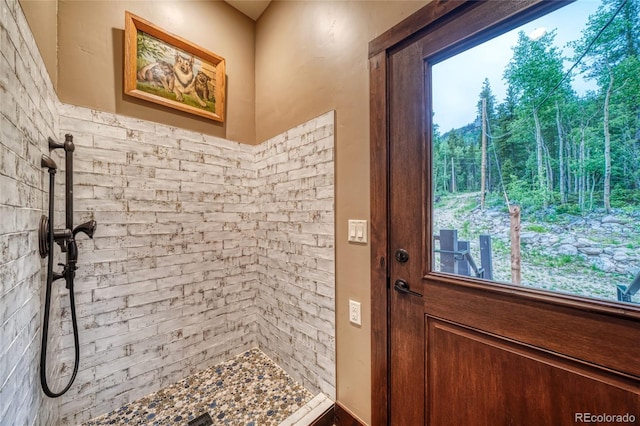 25735 County Road 295, Nathrop, CO 81236 - doorway to outside featuring healthy amount of natural light