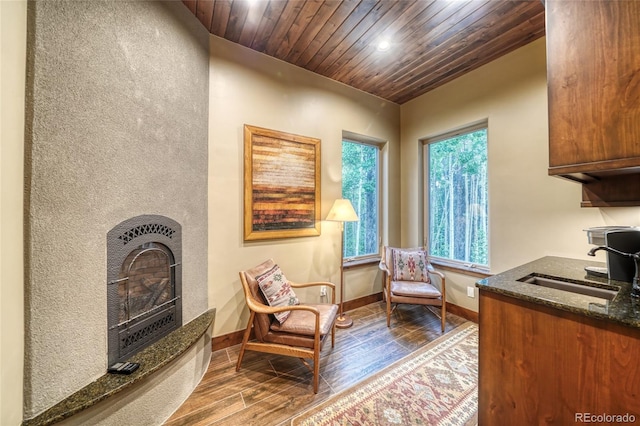 25735 County Road 295, Nathrop, CO 81236 - sitting room with wood finished floors, wooden ceiling, a fireplace with raised hearth, and recessed lighting