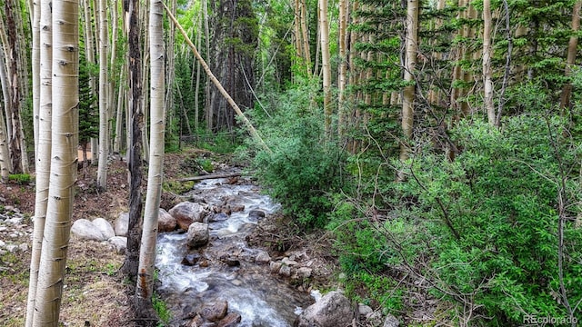 25735 County Road 295, Nathrop, CO 81236 - view of woods